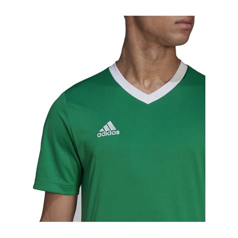 adidas trikot grün blau|Grüne Fußball.